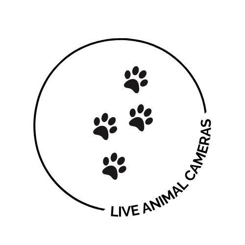A logo of animal footprints with the text "Live Animal Cameras"